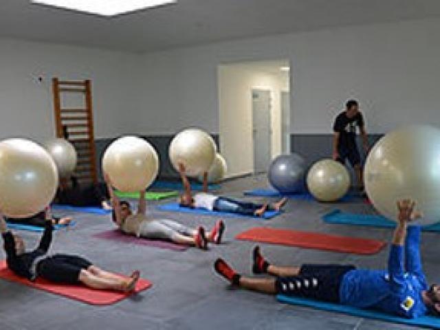 Swissball gym ballon