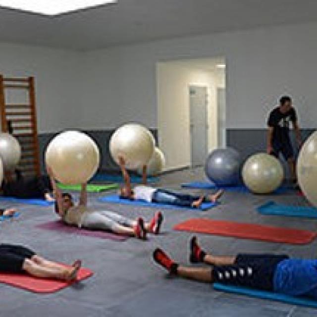 Swissball gym ballon